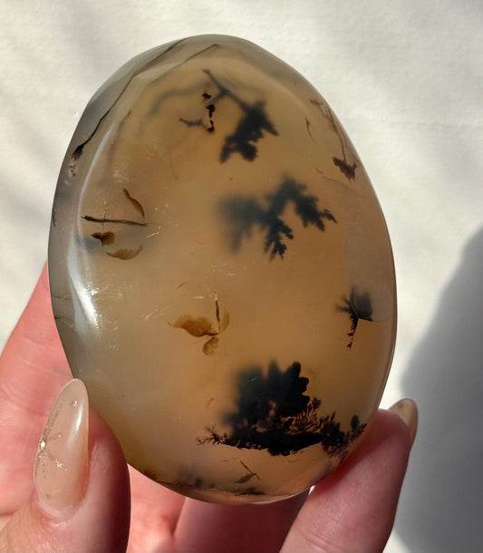 Beautiful Dentritic Agate Palm Stone from Madagascar | Agate with Dentritic Inclusions