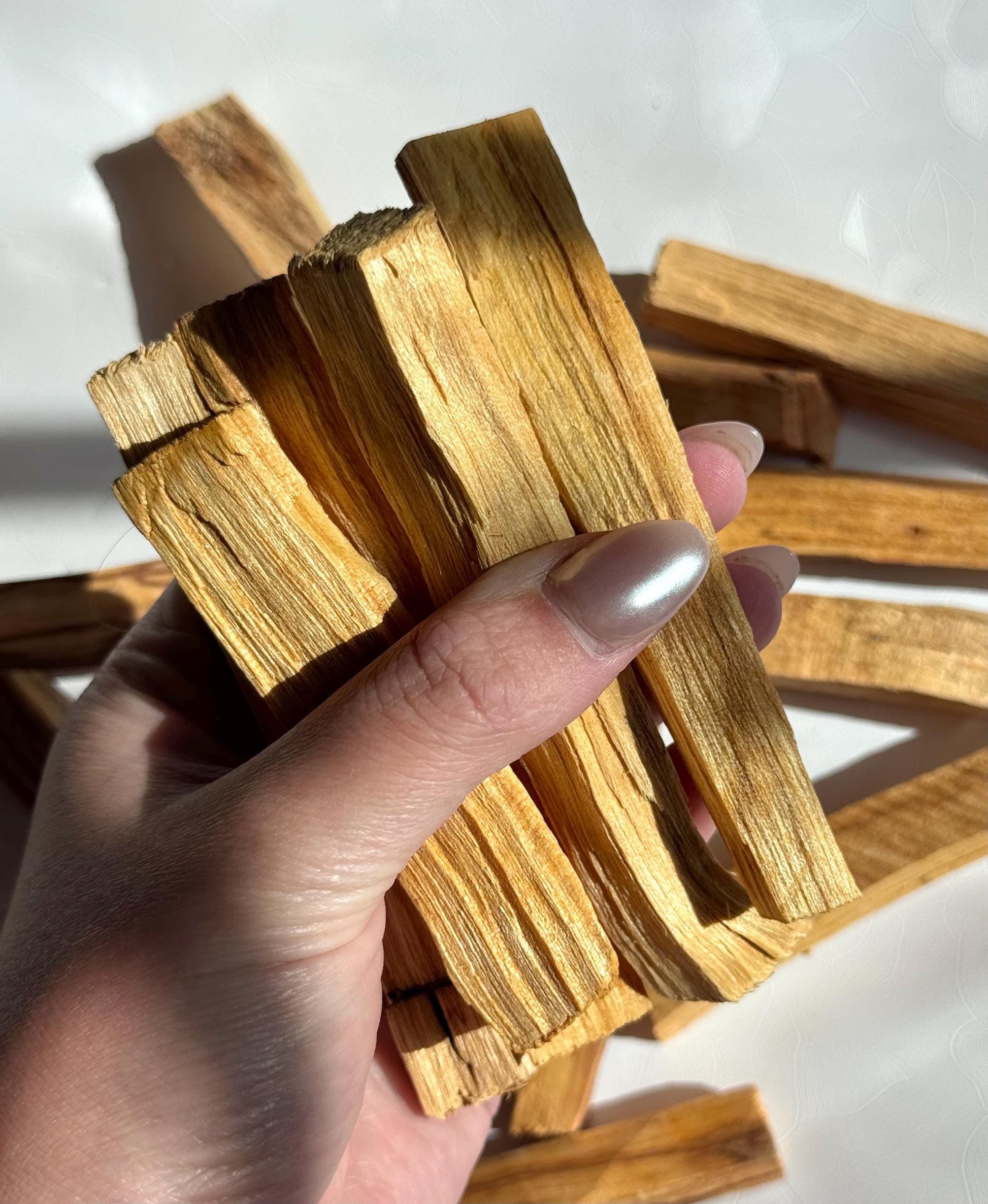One (1) Palo Santo Stick from Ecuador - Ethically Sourced Palo Santo Insence Sticks