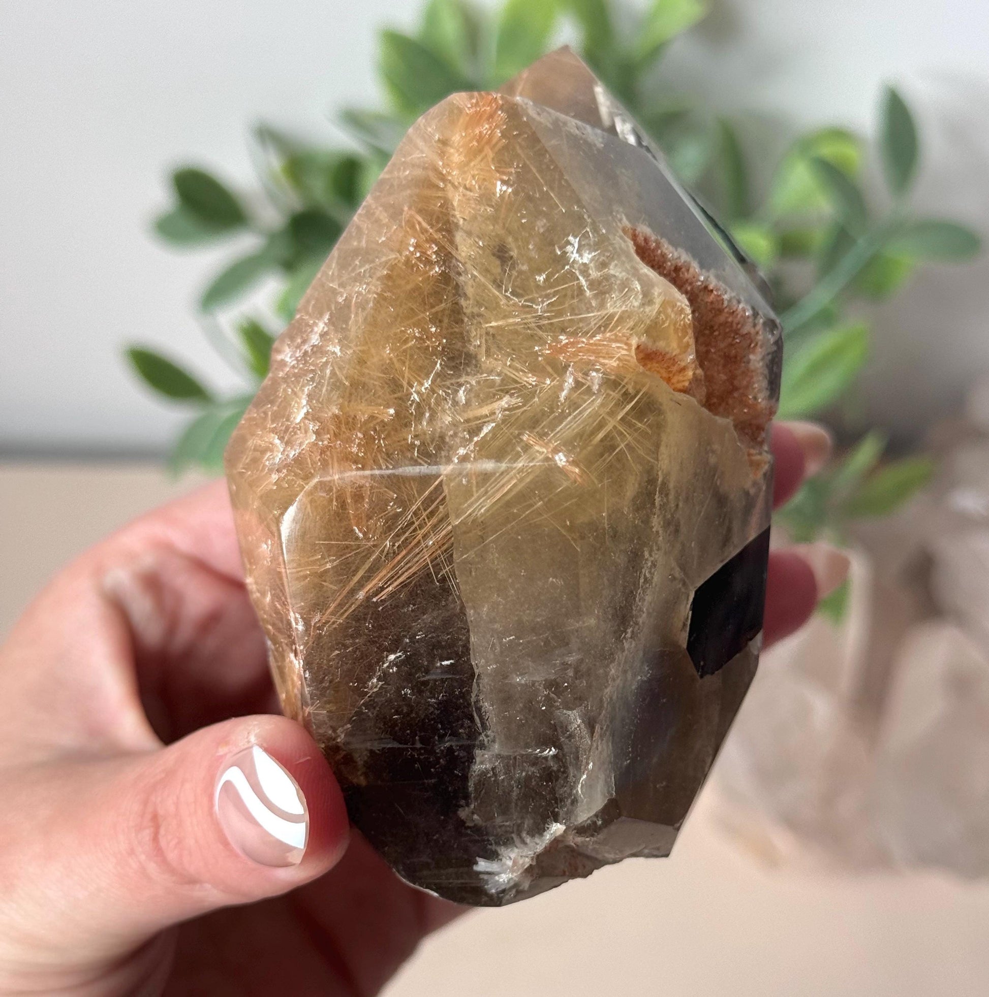 Stunning Rutilated Quartz with Black Tourmaline | Golden Rutile in Quartz Double Pointed with Tourmaline from Madagascar