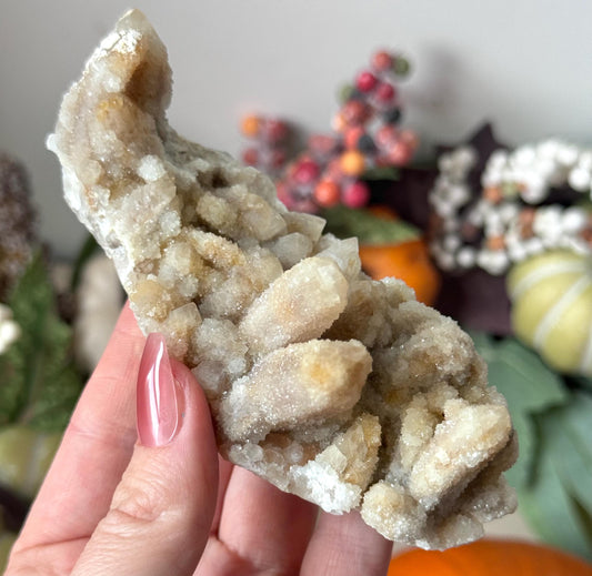 Beautiful Fairy Cactus Quartz Cluster from South Africa | Spirit Quartz