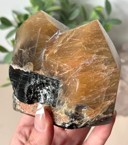 Stunning Rutilated Quartz with Black Tourmaline | Golden Rutile in Quartz Double Pointed with Tourmaline from Madagascar