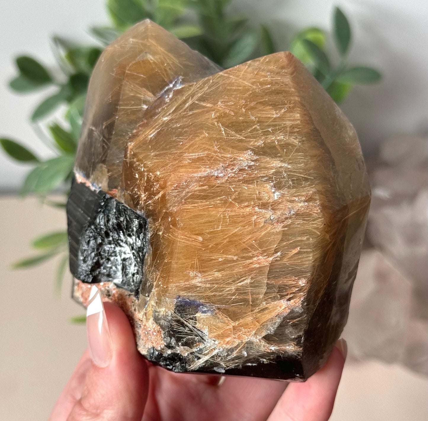 Stunning Rutilated Quartz with Black Tourmaline | Golden Rutile in Quartz Double Pointed with Tourmaline from Madagascar