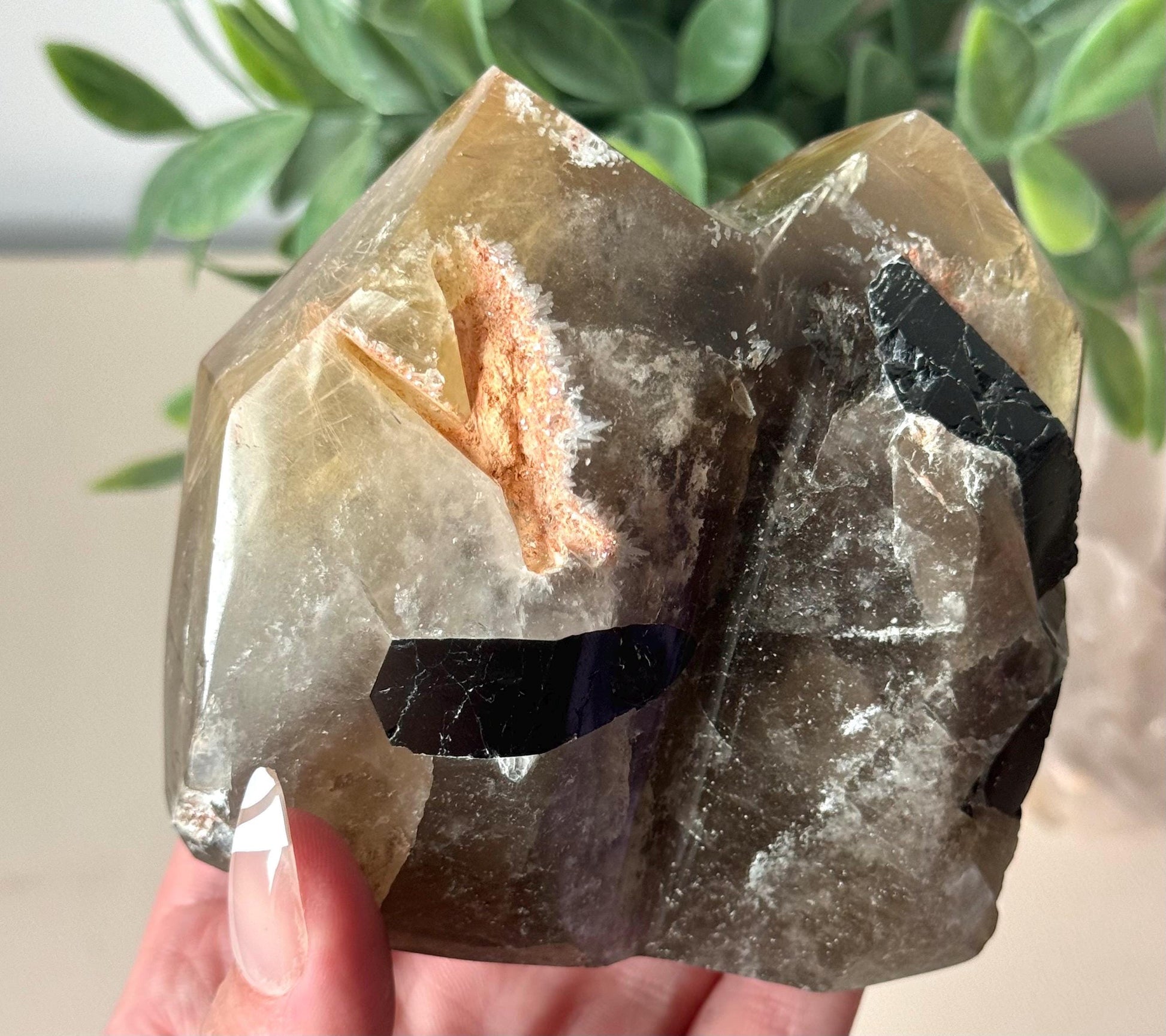 Stunning Rutilated Quartz with Black Tourmaline | Golden Rutile in Quartz Double Pointed with Tourmaline from Madagascar