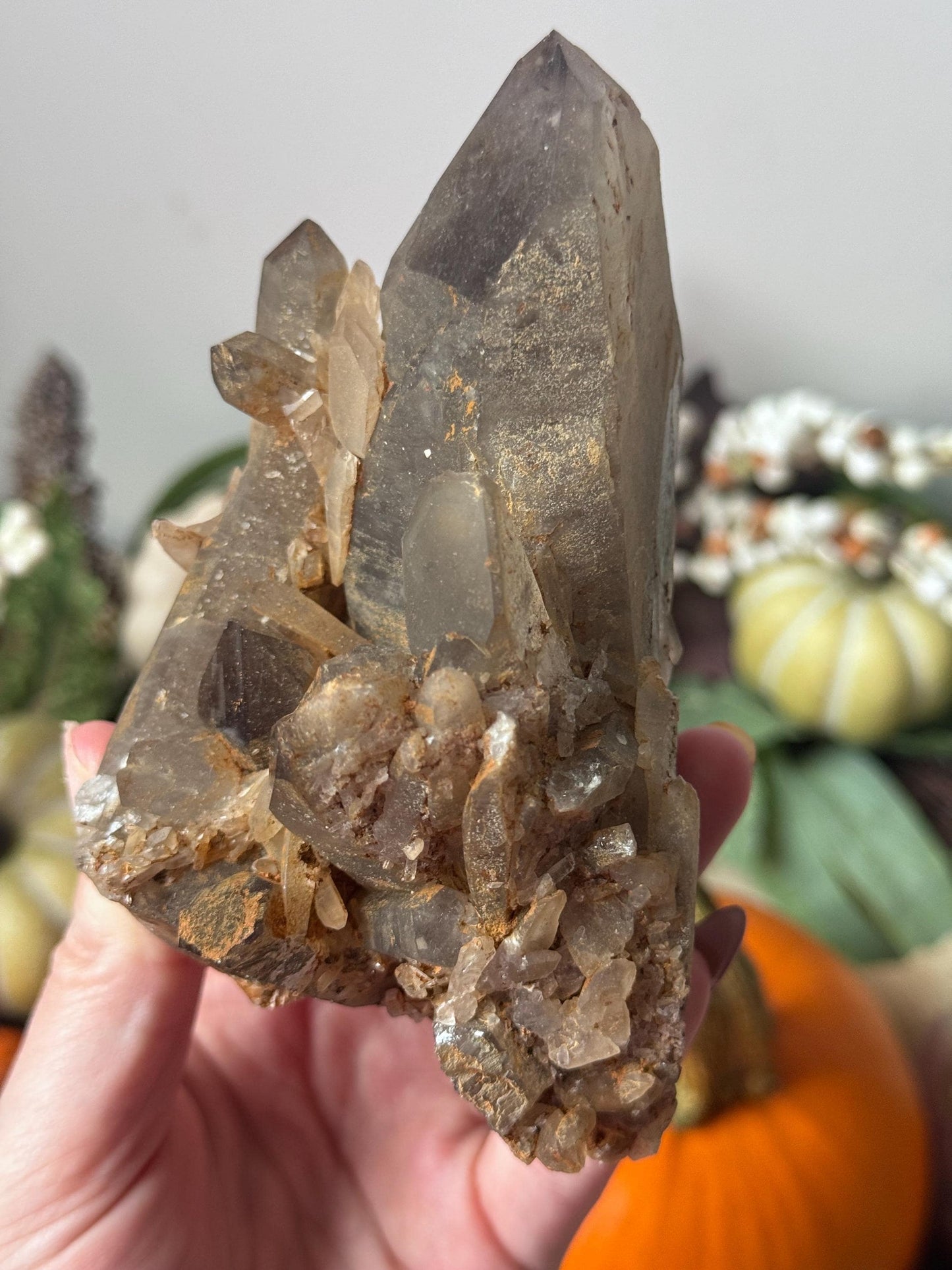 Gorgeous Smoky Quartz Cluster from Malawai | Raw Smokey Quartz Points