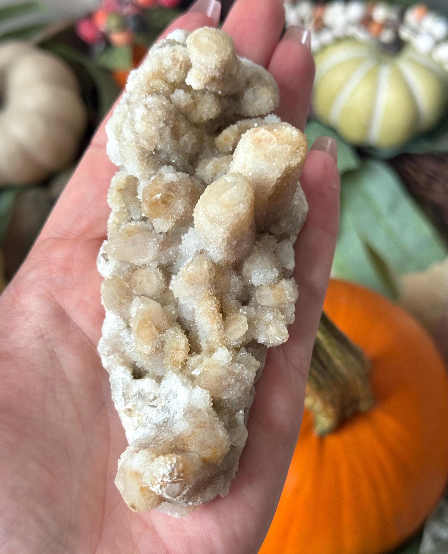 Beautiful Fairy Cactus Quartz Cluster from South Africa | Spirit Quartz