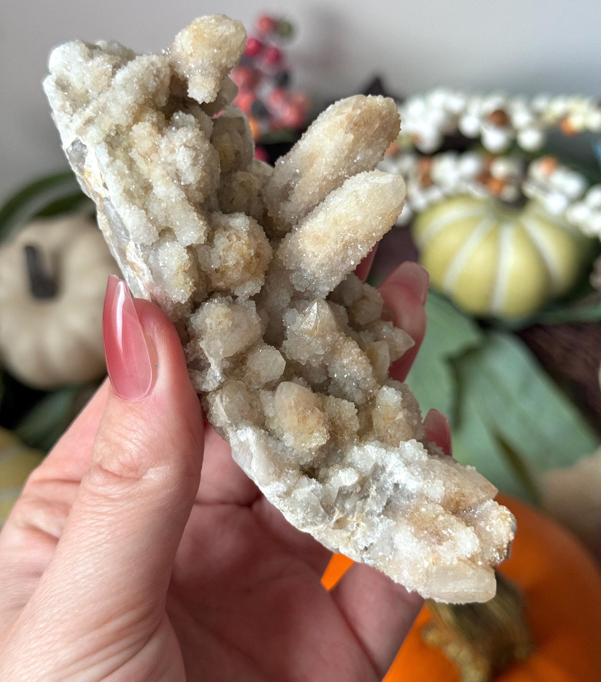 Beautiful Fairy Cactus Quartz Cluster from South Africa | Spirit Quartz