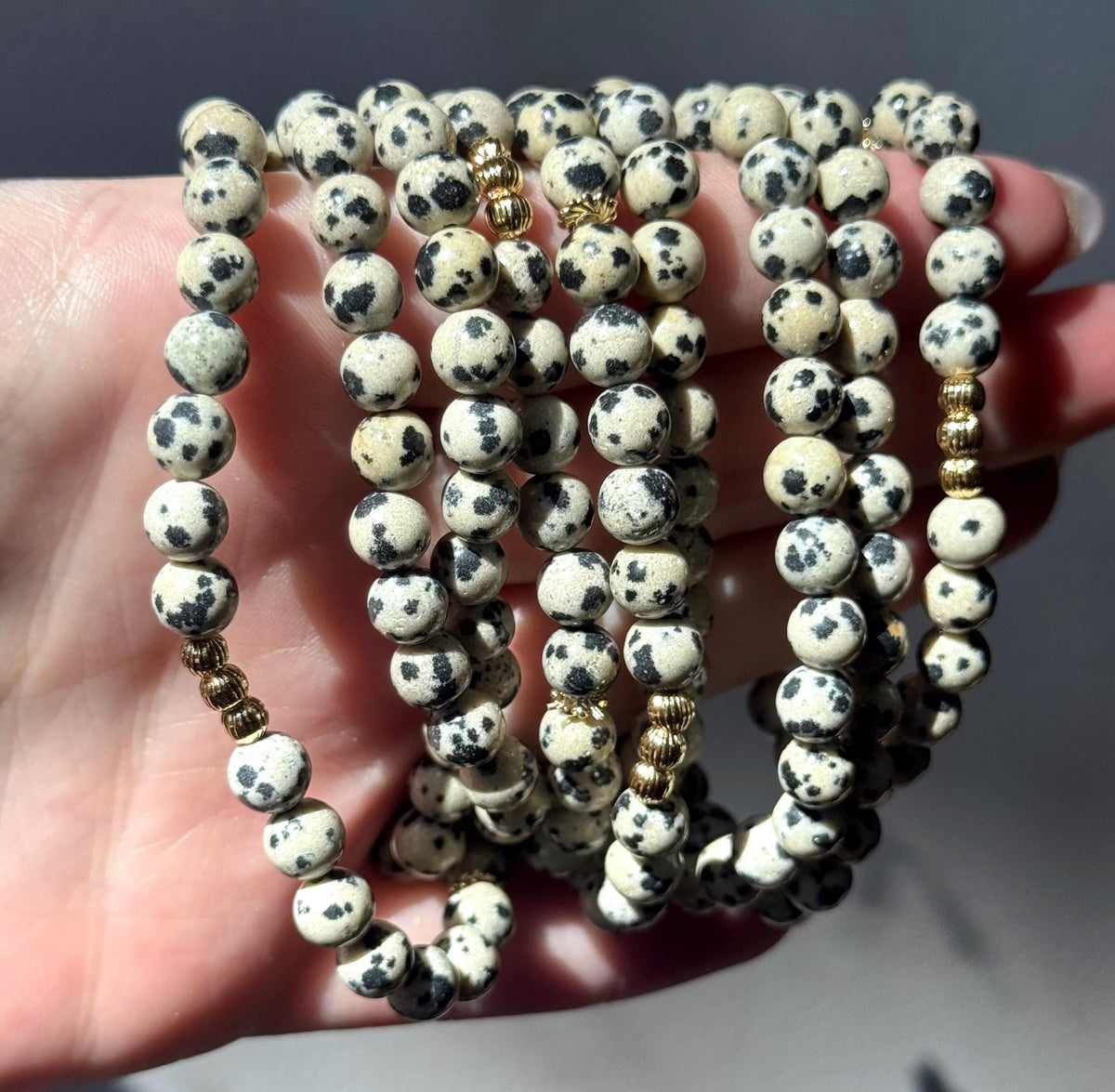 Beautiful Dalmatian Jasper 6mm Bracelet | Dalmatian Jasper Beaded Bracelet with 18KT Gold Accent Beads