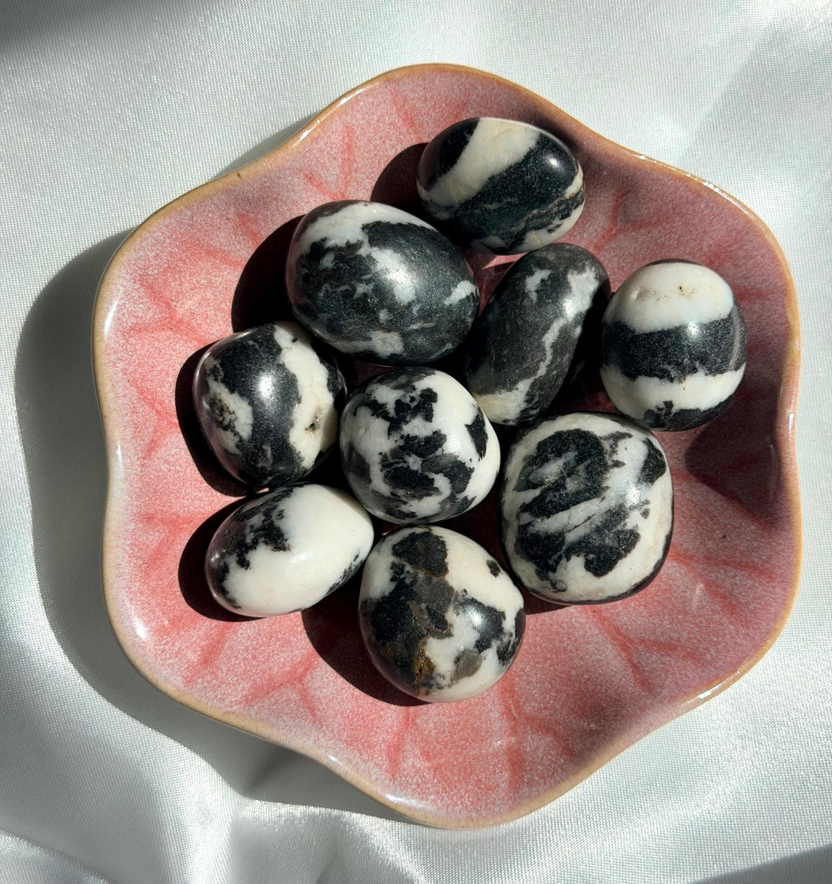Beautiful Zebra Jasper Tumbled Stones | One (1) Intuitively Chosen Black & White Jasper Pebble