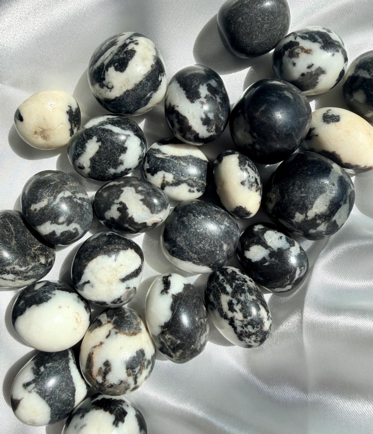 Beautiful Zebra Jasper Tumbled Stones | One (1) Intuitively Chosen Black & White Jasper Pebble