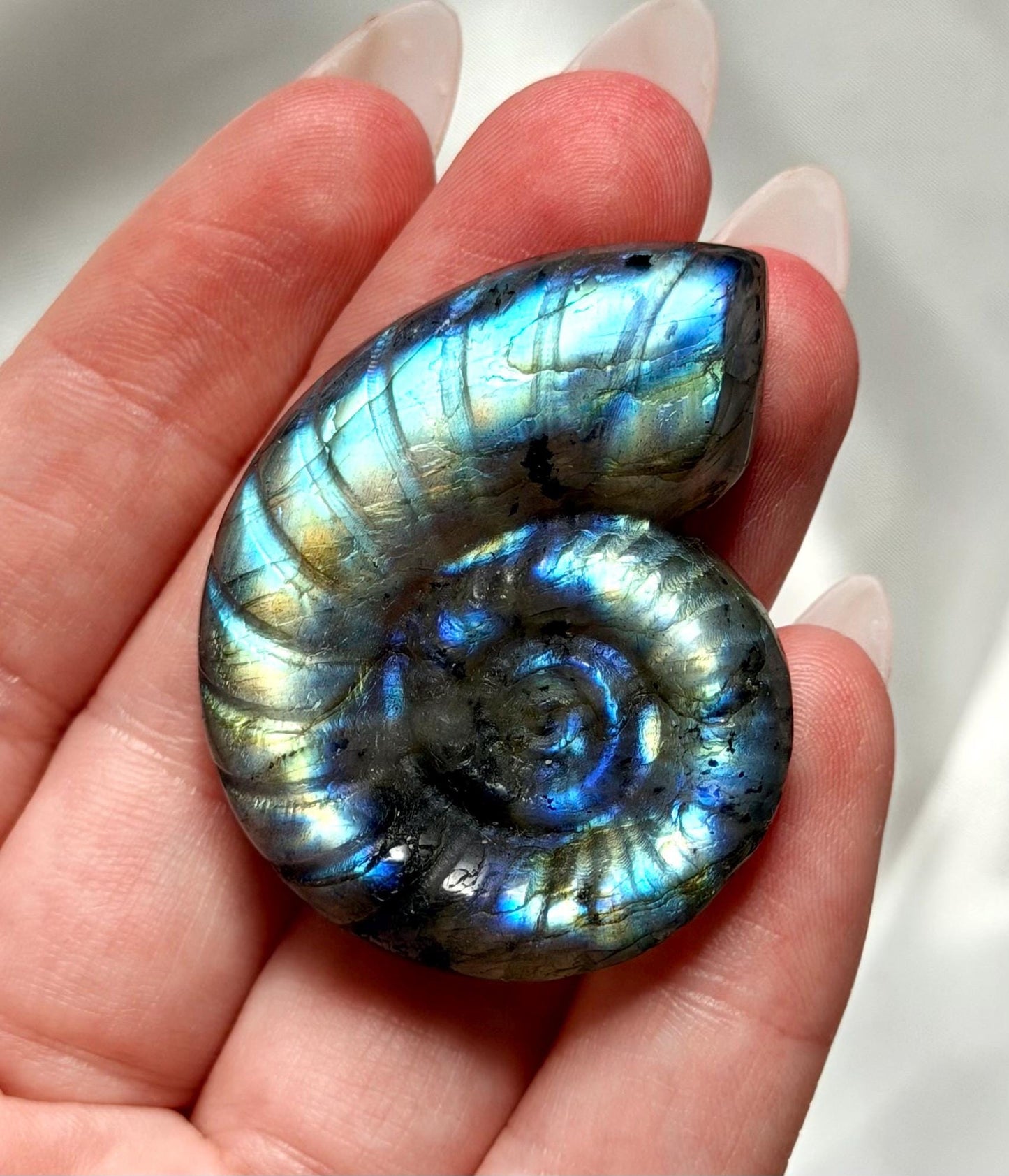 Flashy Labradorite Ammonite Carving | Blue Green Flash Crystal Fossil | Madagascar Labradorite Shell