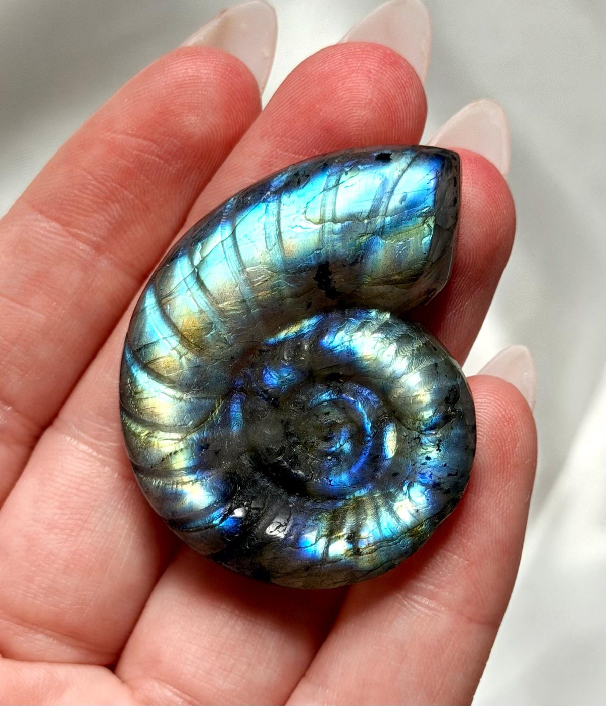 Flashy Labradorite Ammonite Carving | Blue Green Flash Crystal Fossil | Madagascar Labradorite Shell