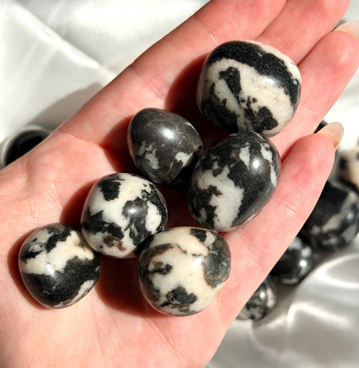 Beautiful Zebra Jasper Tumbled Stones | One (1) Intuitively Chosen Black & White Jasper Pebble