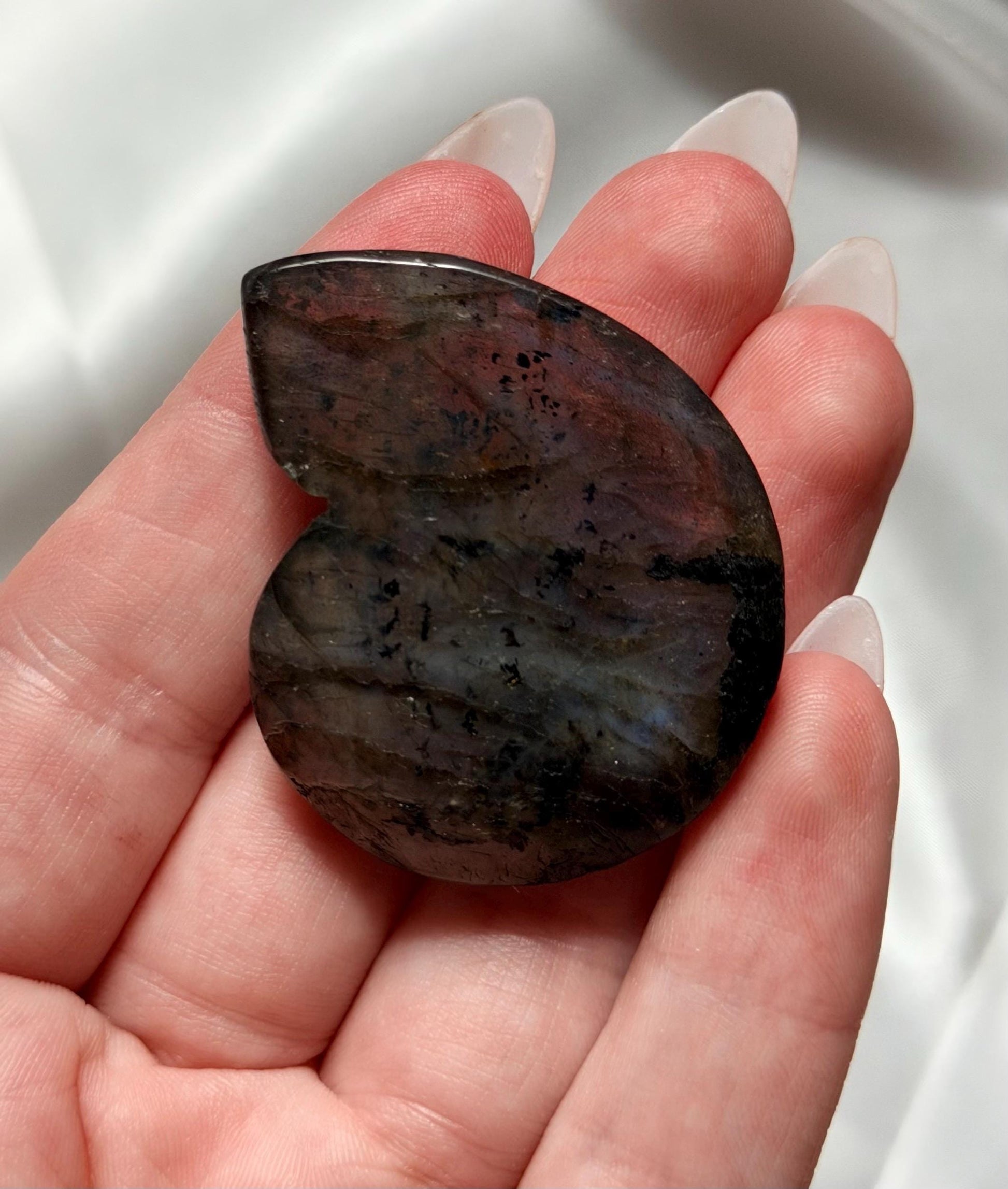 Flashy Labradorite Ammonite Carving | Blue Green Flash Crystal Fossil | Madagascar Labradorite Shell