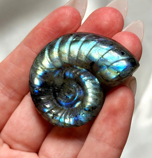 Flashy Labradorite Ammonite Carving | Blue Green Flash Crystal Fossil | Madagascar Labradorite Shell