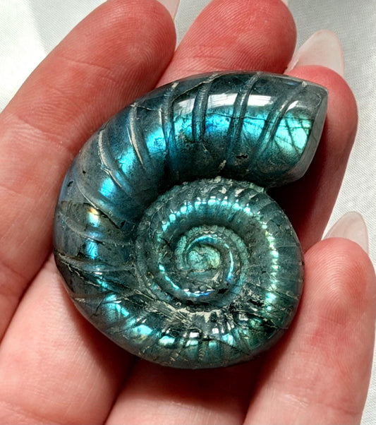 Flashy Labradorite Ammonite Carving | Blue Green Flash Crystal Fossil | Madagascar Labradorite Shell