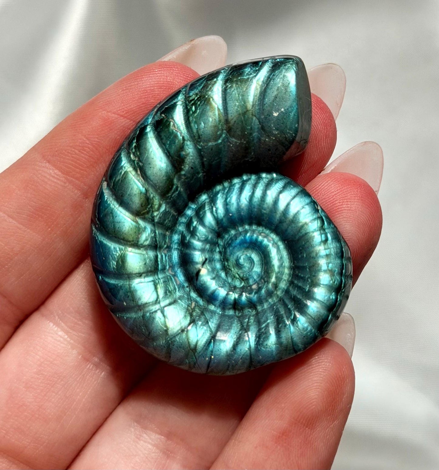 Flashy Labradorite Ammonite Carving | Blue Green Flash Crystal Fossil | Madagascar Labradorite Shell