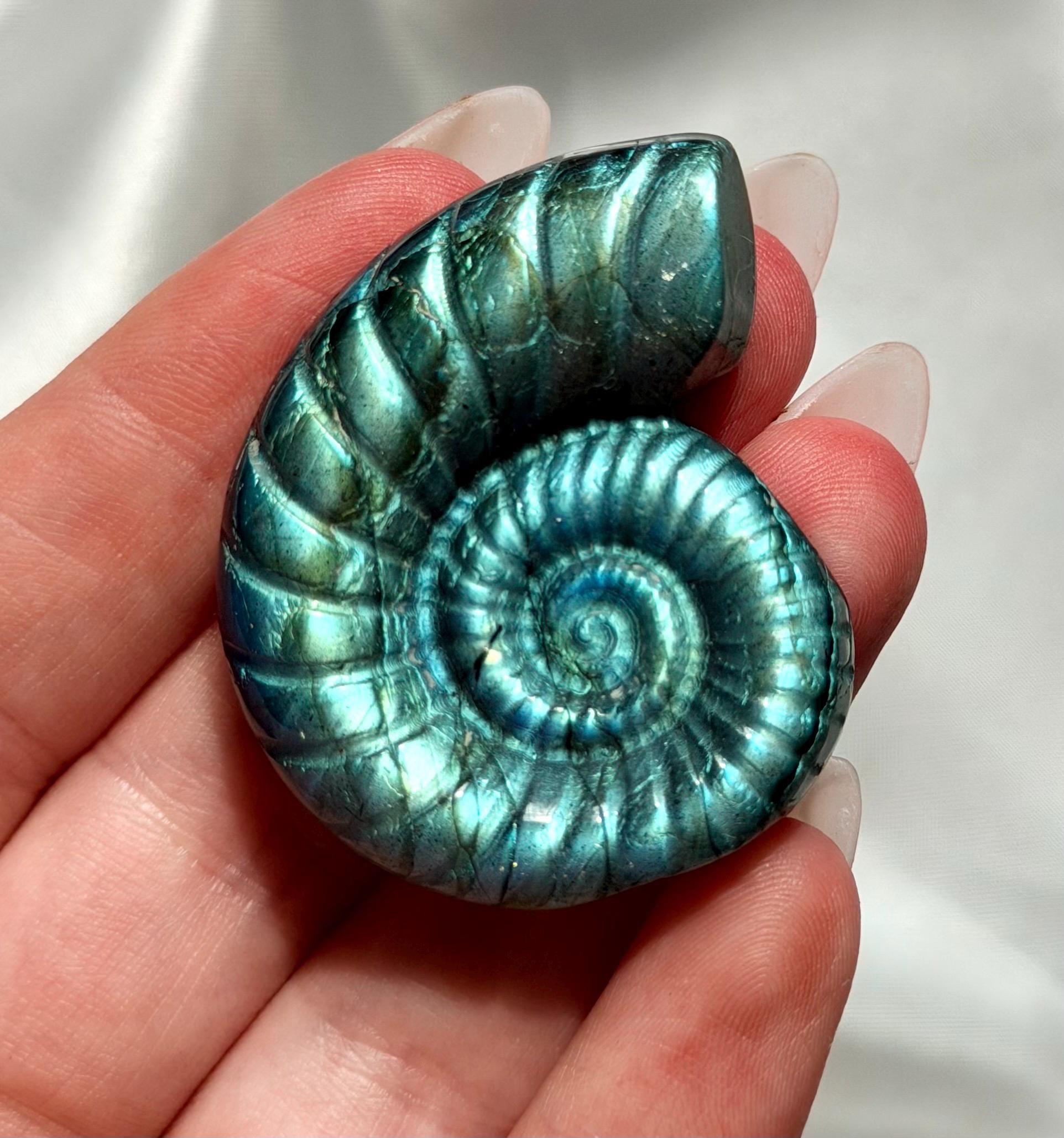 Flashy Labradorite Ammonite Carving | Blue Green Flash Crystal Fossil | Madagascar Labradorite Shell