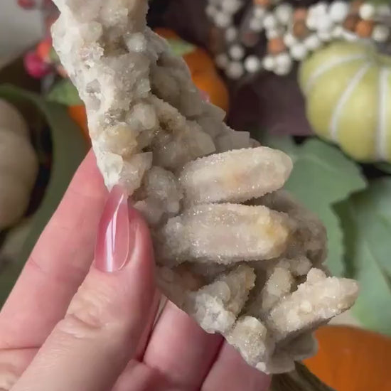Beautiful Fairy Cactus Quartz Cluster from South Africa | Spirit Quartz
