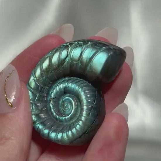 Flashy Labradorite Ammonite Carving | Blue Green Flash Crystal Fossil | Madagascar Labradorite Shell
