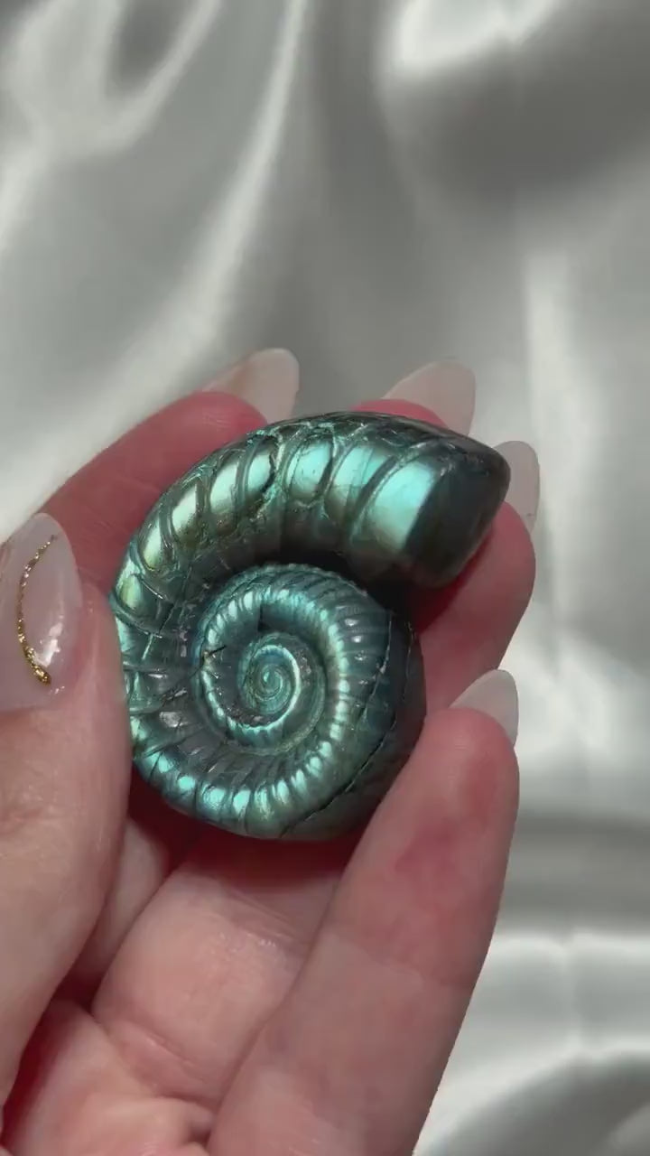 Flashy Labradorite Ammonite Carving | Blue Green Flash Crystal Fossil | Madagascar Labradorite Shell