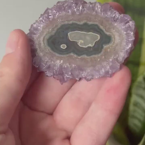 Gorgeous Druzy Amethyst Stalactite Slice from Uruguay
