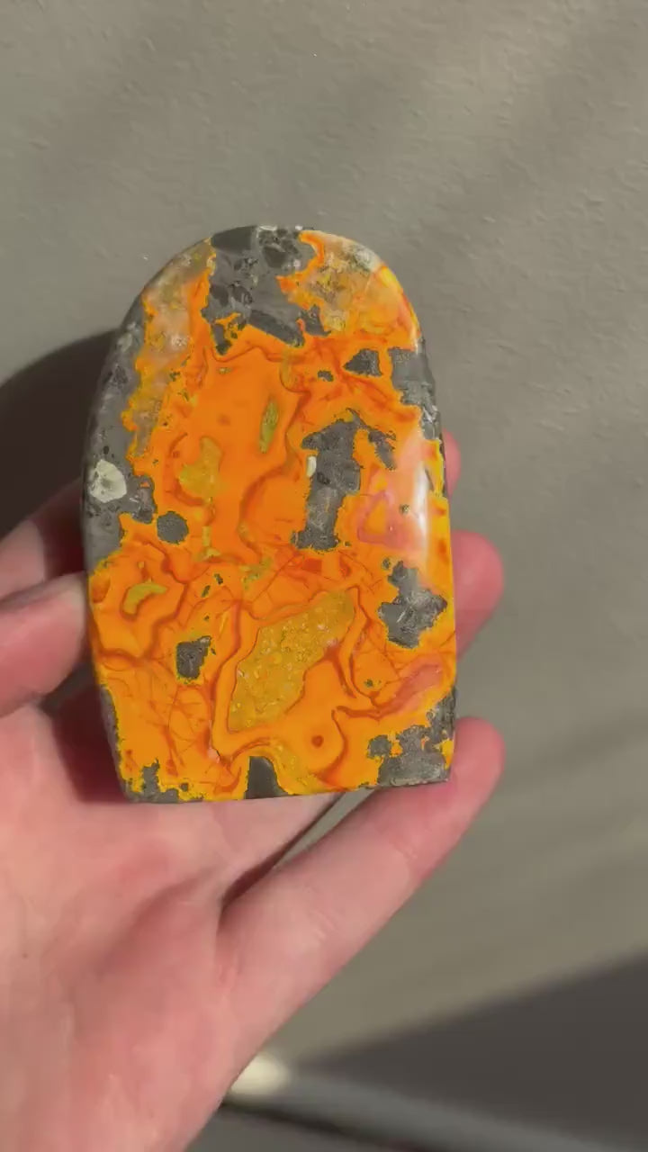 Stunning Bumblebee Jasper Freeform from Indonesia