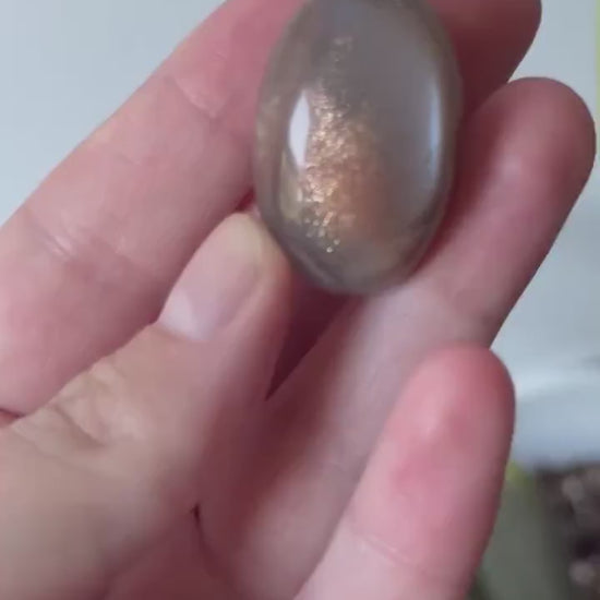 Gorgeous Chocolate Moonstone Shiva with White Flash | Brown Moonstone Oval
