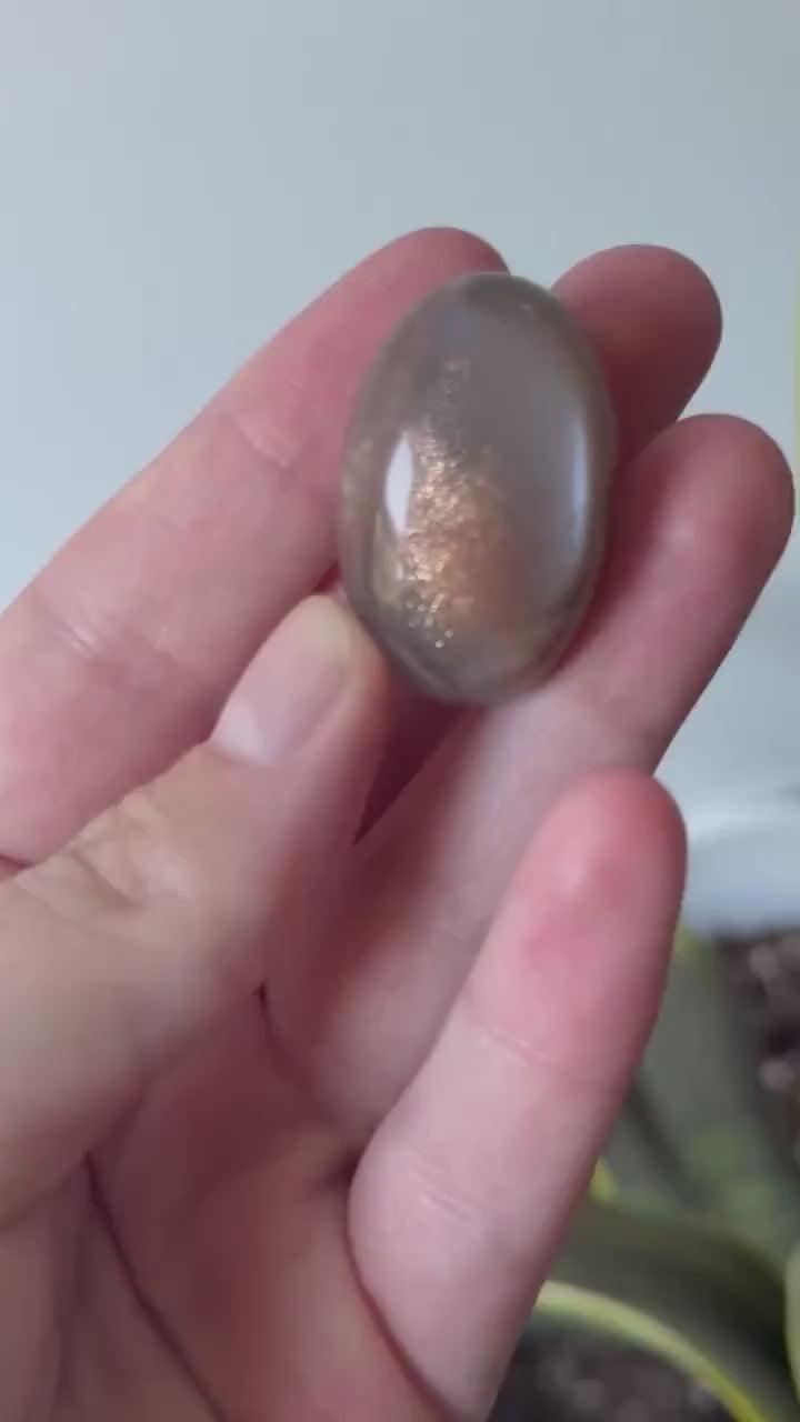 Gorgeous Chocolate Moonstone Shiva with White Flash | Brown Moonstone Oval