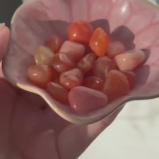 One (1) Carnelian Tumbled Stone | Intuitively Chosen Carnelian Stone