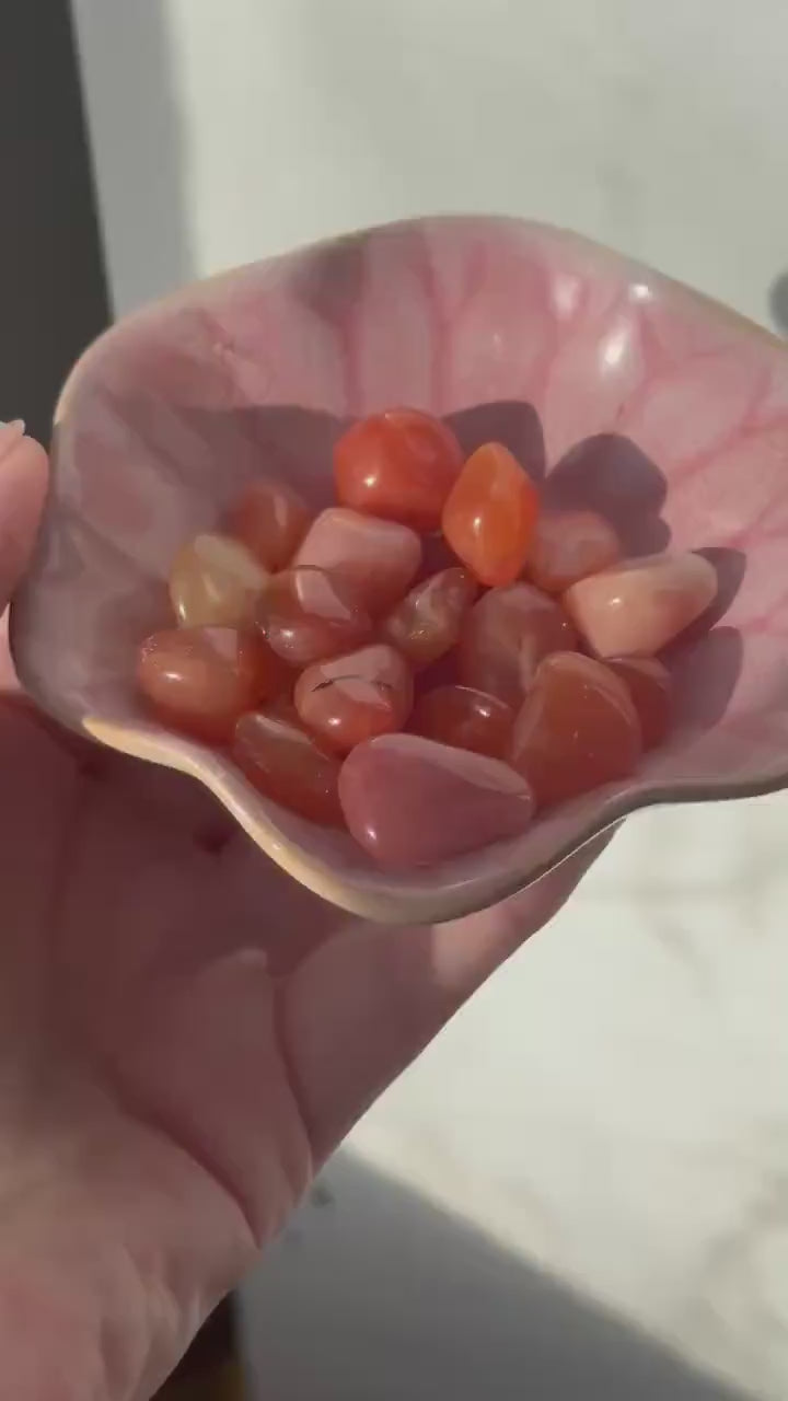 One (1) Carnelian Tumbled Stone | Intuitively Chosen Carnelian Stone