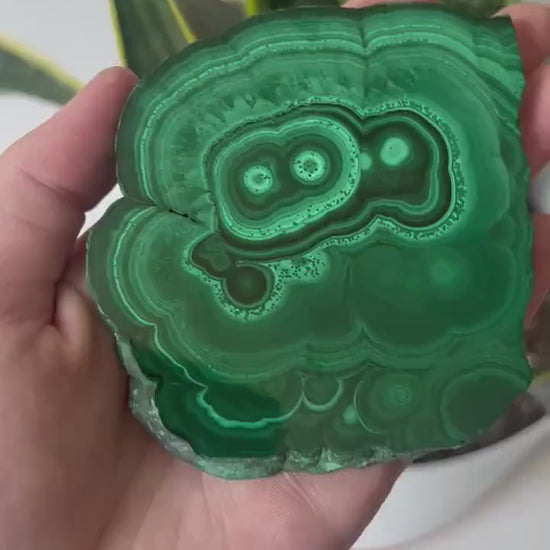 Gorgeous Malachite Mini Slab | Polished Banded Malachite Slice