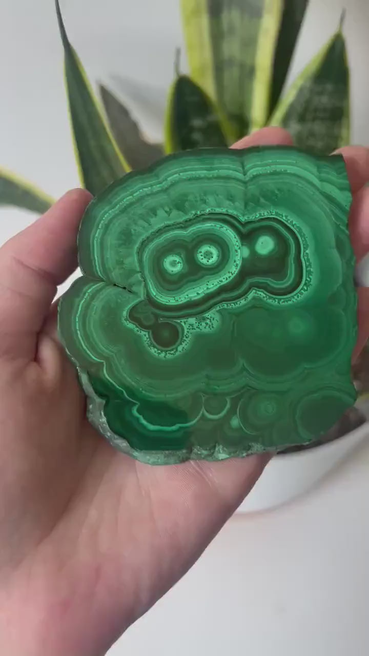 Gorgeous Malachite Mini Slab | Polished Banded Malachite Slice
