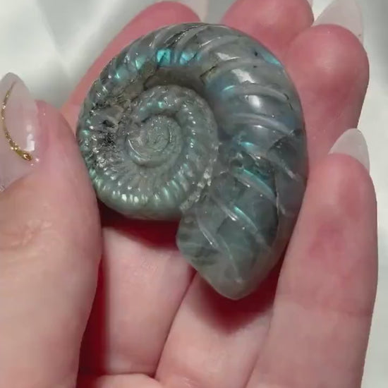 Flashy Labradorite Ammonite Carving | Blue Green Flash Crystal Fossil | Madagascar Labradorite Shell
