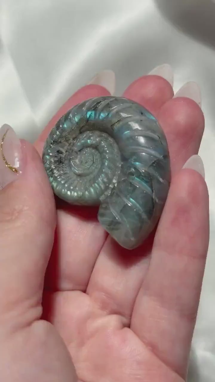 Flashy Labradorite Ammonite Carving | Blue Green Flash Crystal Fossil | Madagascar Labradorite Shell