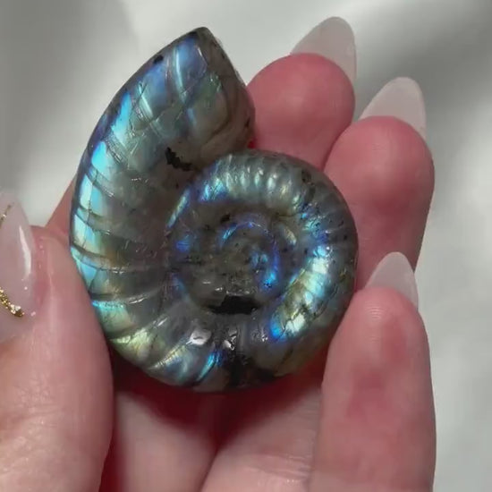Flashy Labradorite Ammonite Carving | Blue Green Flash Crystal Fossil | Madagascar Labradorite Shell