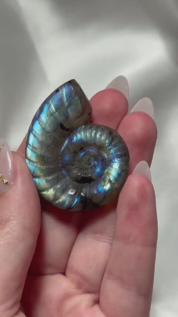 Flashy Labradorite Ammonite Carving | Blue Green Flash Crystal Fossil | Madagascar Labradorite Shell