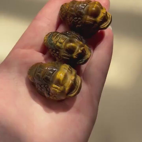 Beautiful Tiger’s Eye Money Toad Carvings | Feng Shui Mini Money Toads