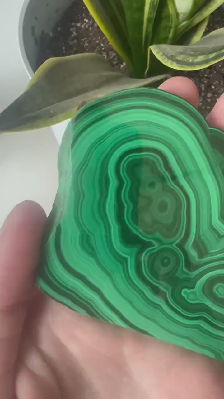 Gorgeous Malachite Mini Slab | Polished Banded Malachite Slice