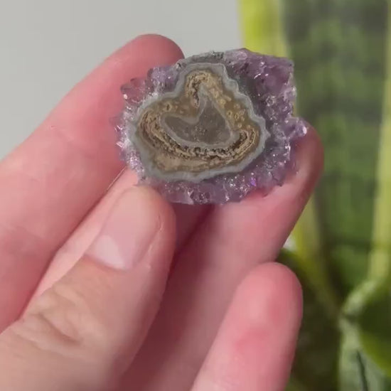 Gorgeous Druzy Amethyst Stalactite Slice from Uruguay