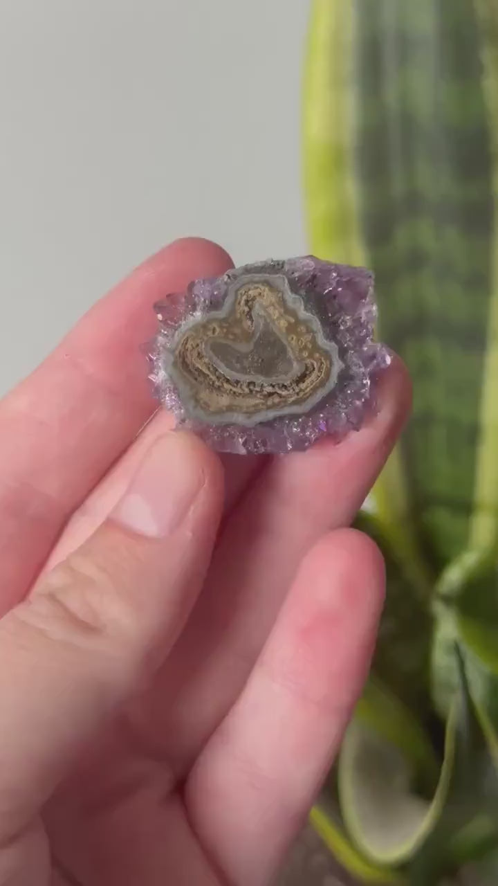 Gorgeous Druzy Amethyst Stalactite Slice from Uruguay