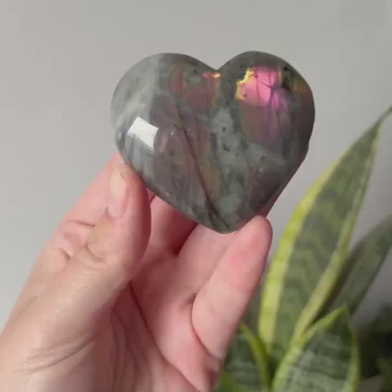 Gorgeous Sunset Labradorite Heart Carving | Pink Flash Labradorite Puffy Heart